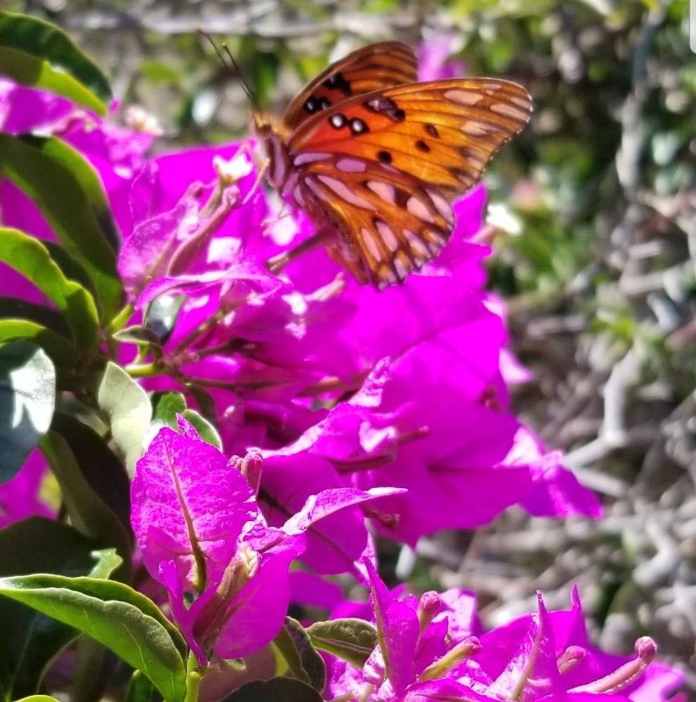 Meet your Posher, Yolanda